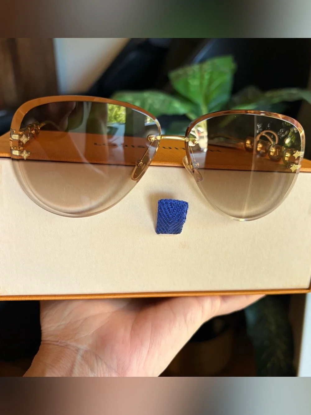 Louis Vuitton elegant louis